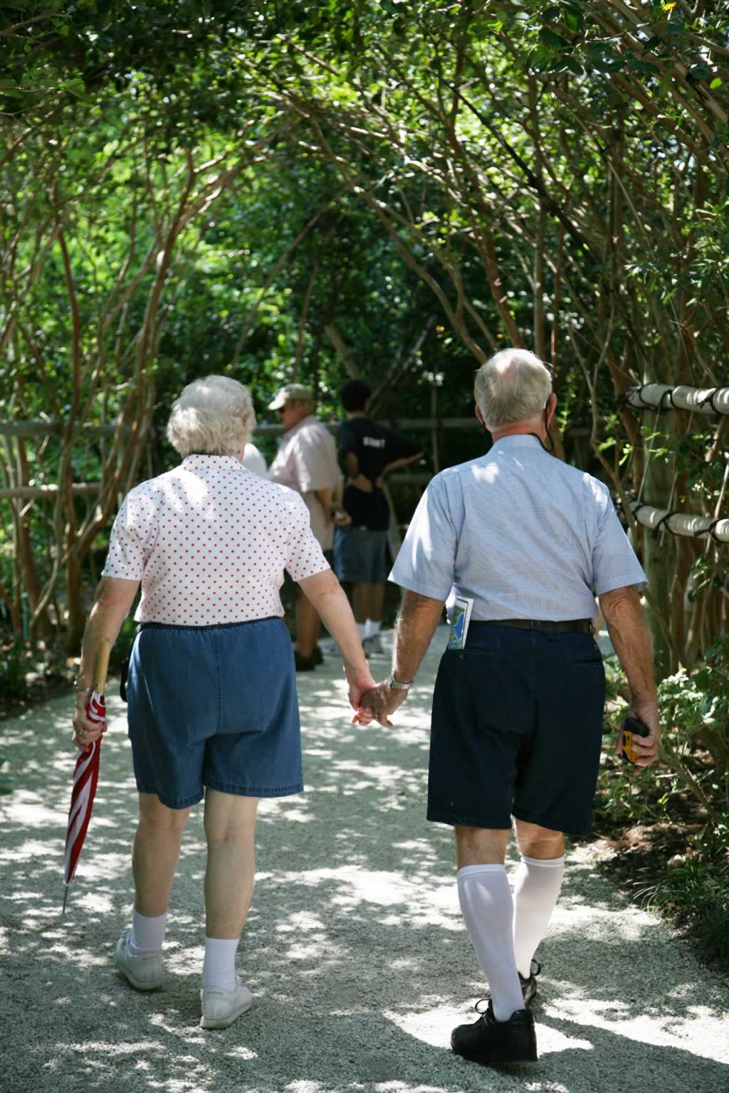 Seniors Stroll the Roji-En Seniors Stroll the Roji-En