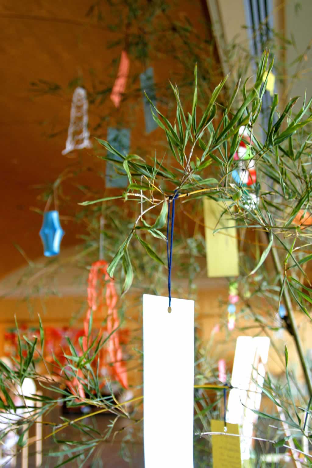 TANABATA TREE