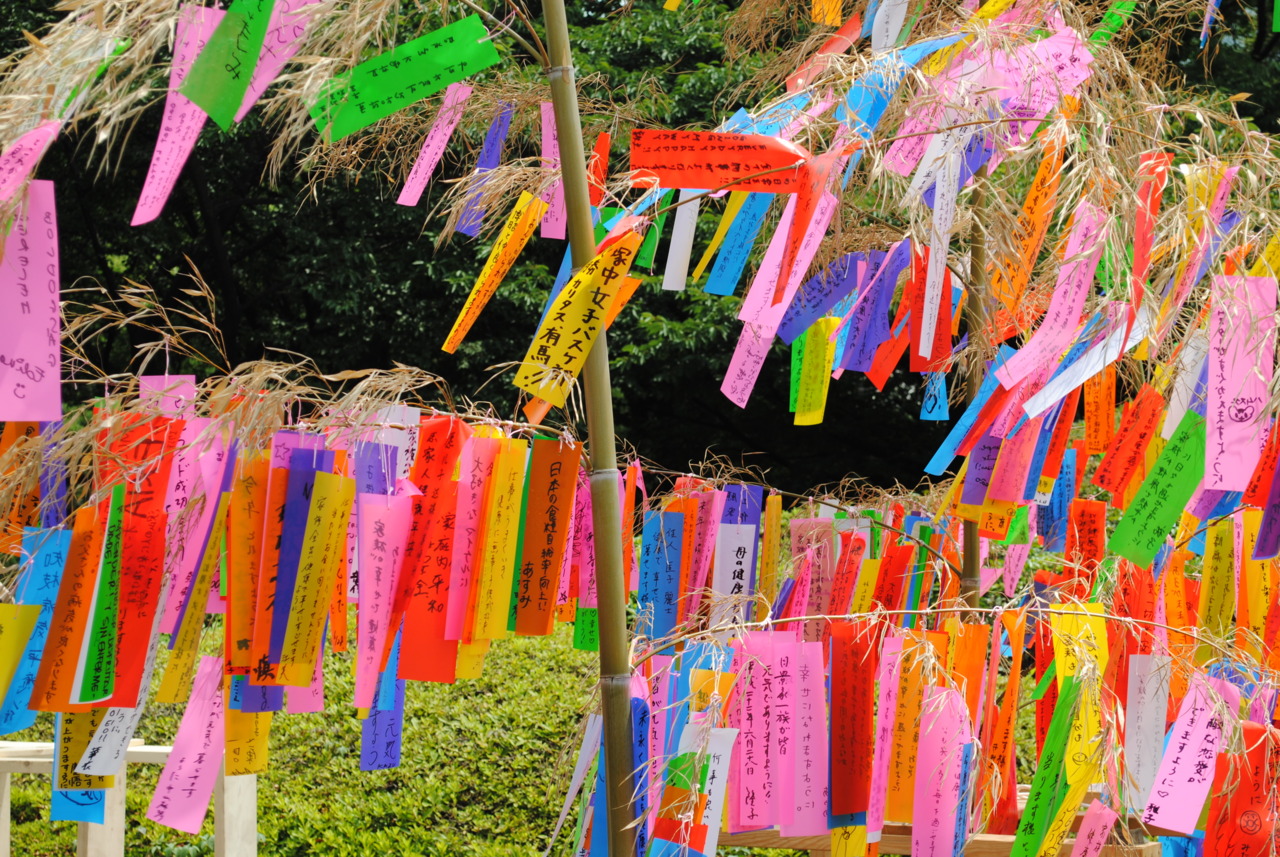 Tanabata Tree