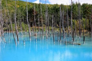 blue-pond1[2]