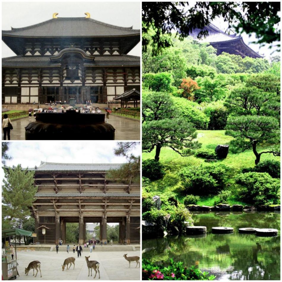 todaiji-collage