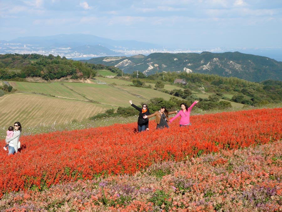 flower-photo