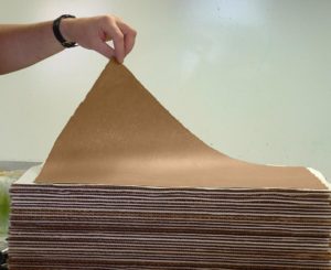 12_dry_sheet