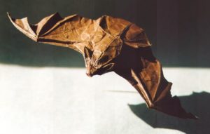 13_bat_from_paper